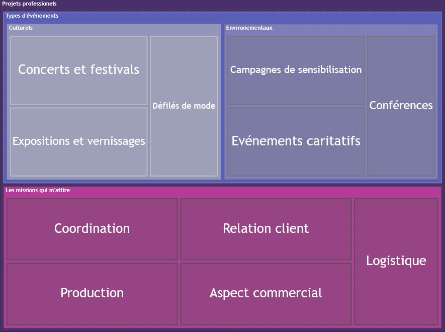 Projets Professionnels